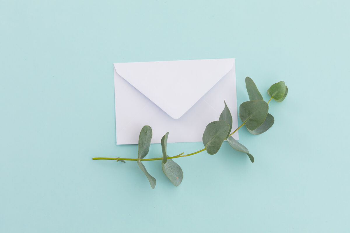 white envelope with twig and leaves lying on pale 2023 11 27 05 18 49 utc