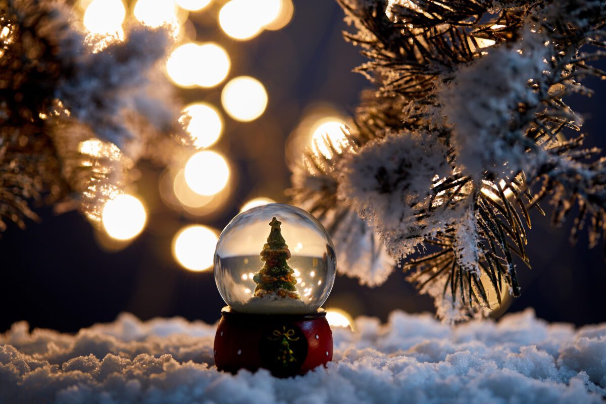 decorative christmas tree in snowball standing in 2024 11 01 06 17 44 utc