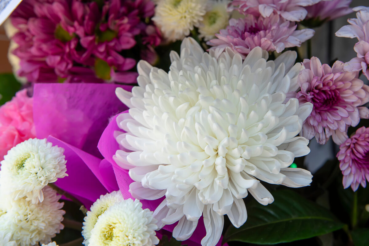 close up flower in the wedding background 2025 10 30 21 14 23 utc